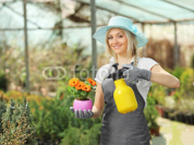 A_beautiful_female_gardener_watering_a_plant.jpg