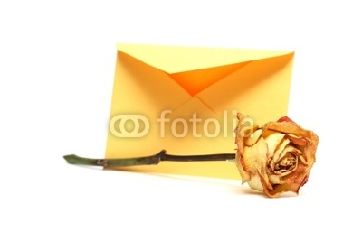 Envelope_And_Rose.jpg