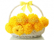 bright_yellow_chrysanthemums_in_basket_isolated_on_white.jpg