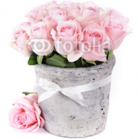 roses_in_a_pot.jpg