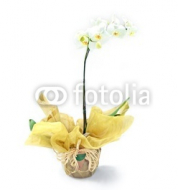 white_yellow_orchids_in_rustic_vase_floral_arrangement.jpg